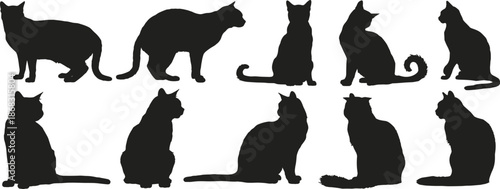 Black cat silhouette collection, sitting and walking feline poses vector illustration set isolated on white background for logo, design, decoration, branding use