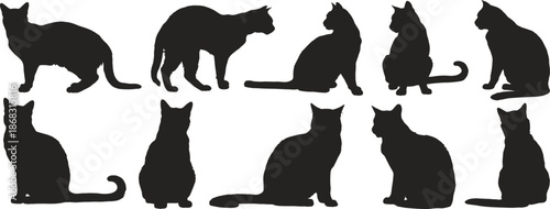 Black cat silhouette set, sitting and walking domestic cats, cute feline pet poses, minimalist vector illustration artwork, modern animal design clipart, isolated graphic collection