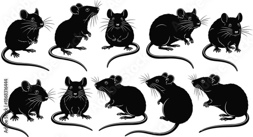 Mouse silhouettes, black rodent vector illustration, cute standing and sitting mice, wildlife animal icons, cartoon style graphics, isolated pet mouse artwork for projects