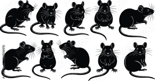 Mouse silhouettes, cute standing and sitting rodents, black wildlife vector illustration, animal cartoon icons, pet mouse graphics, isolated rodent artwork for creative design projects