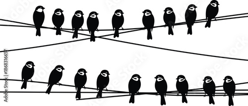 Small bird silhouettes perched on wires, flock arrangement in minimalist style, black avian wildlife vector illustration isolated on white background