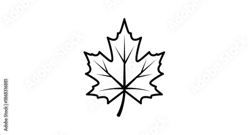Minimalist maple leaf outline evokes autumn with simple elegance vector graphic