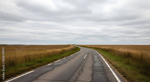 Winding asphalt road through vast golden fields under a dramatic cloudy sky.