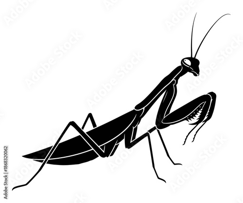 Praying Mantis Silhouette - Minimalist Vector