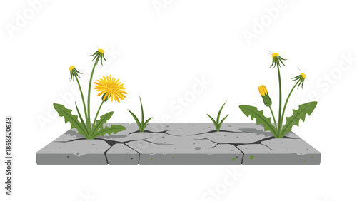 Cracked pavement with dandelions and grass growing through, illustrating nature's resilience and the beauty of urban flora.