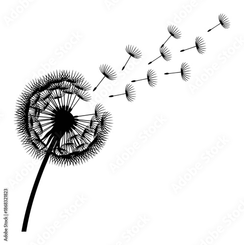 Dandelion Silhouette - Minimalist Vector Illustration