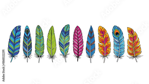 A row of bright, stylized feathers in various colors and patterns, offering a vibrant and artistic visual element.