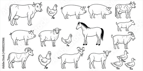 Outline drawing of various farm animals and poultry on white background line art