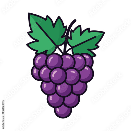 purple grapes cluster with green leaves illustration
