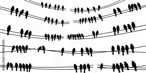 Silhouette of birds perched on power lines against a white background wire