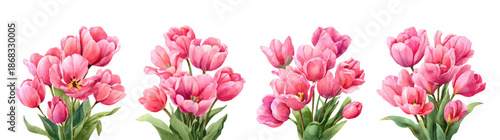 Pink tulip arrangement with watercolor texture. Realistic spring bouquet featuring delicate tulips, ideal for March celebrations and botanical artwork collections.