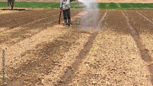 A person waters planted crop rows with a hose while standing on an open agricultural field under natural daylight and clear outdoor conditions. Hand irrigation.