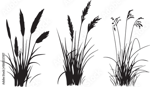 Vector illustration of a black grass silhouette and green plant leaves isolated on white, featuring a floral nature design with summer wheat stems and spring bamboo branches for decorative art