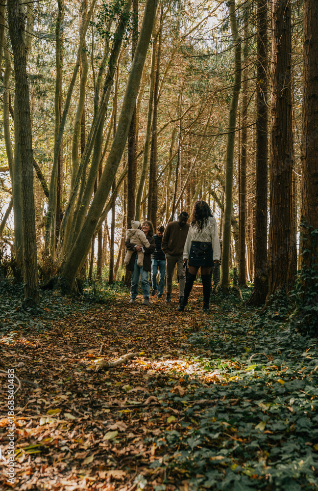 Obraz premium A group of people are walking through a forest, enjoying the peaceful and serene atmosphere. They are surrounded by tall trees and the sound of leaves rustling in the wind