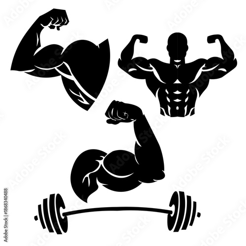  fitness and bodybuilding,Gym Bodybuilding Fitness Club ,Two Biceps