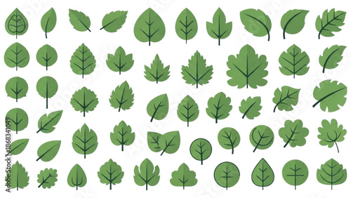 Collection of various green leaves arranged in a grid pattern on a white background