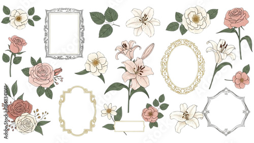 Beautiful floral illustrations with elegant frames and blank spaces on a white background