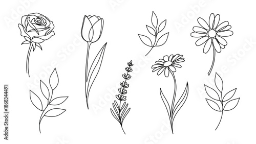 A collection of hand-drawn flowers and leaves in various styles and forms, illustrated in black and white.