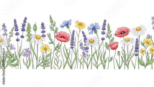 A serene garden scene featuring flowers, poppies, and lavender in full bloom from a frontal viewpoint.