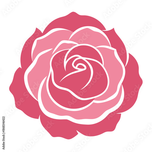 cabbage rose shell pink vector silhouette on white background 