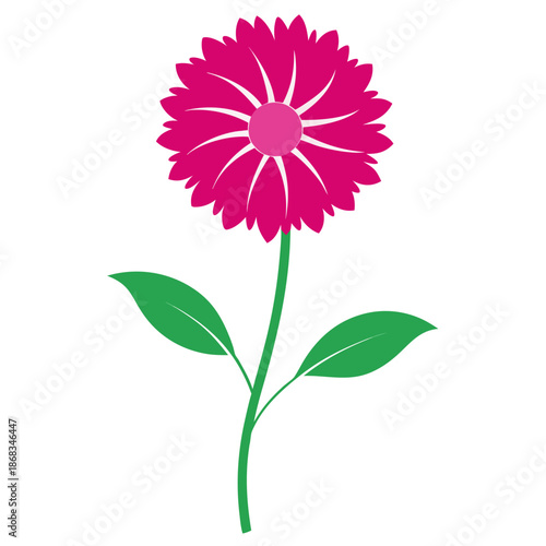 Tableau sur toile calendula pink surprise vector silhouette on white background