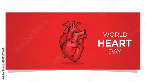 Anatomical human heart illustration for World Heart Day.