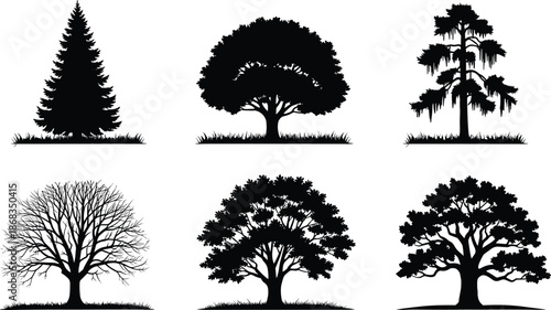 Black tree silhouettes set, forest pine oak and deciduous species icons, organic nature elements on white background, garden landscape plant vector illustration. (24 words)