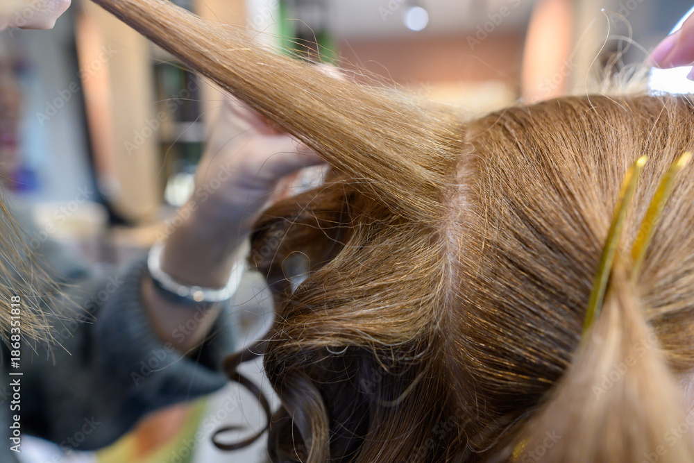 Fototapeta premium Expert hairstylist brings color and style to beauty salon clients