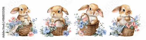 Watercolor set of cute rabbits with a basket of flowers. Fluffy rabbits sitting in baskets with flowers. Cute spring and Easter illustrations in pastel colors. Vector illustration.