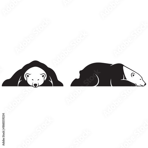 Black and white polar bears in contrasting poses on white