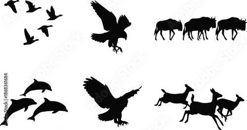 Animal Migration Icon Silhouette set 
