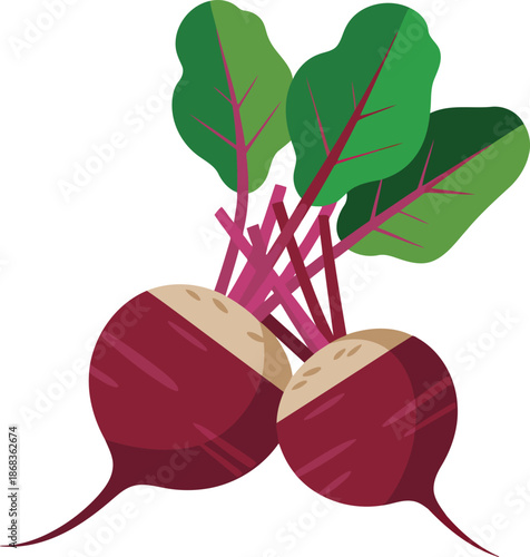 Beets with green leaves on transparent background pair shown vector illustration
