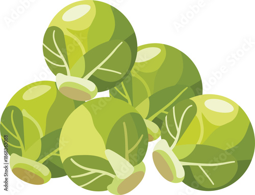 Group of fresh brussels sprouts vector artwork design isolated on transparent background