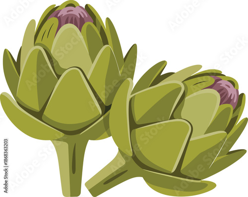 Two artichokes shown isolated on transparent checkered background vector illustration