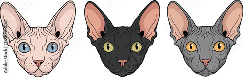Sphynx cat head set with various skin colors and realistic blue and yellow eyes for hairless pet breed concept