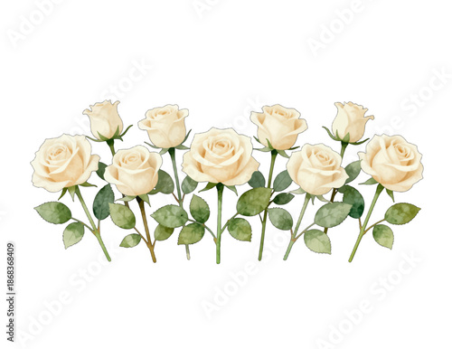 Seven cream-colored roses with green leaves