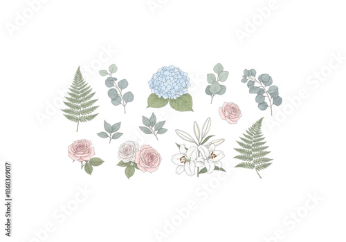 Watercolor herb and wild flower collection png on transparent background