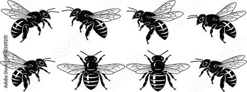 Bee silhouette, insect vector, black icon, wing pattern, top view, side profile, graphic, illustration, nature, biology, abdomen designBee silhouette, insect vector, black icon, wing pattern, top view
