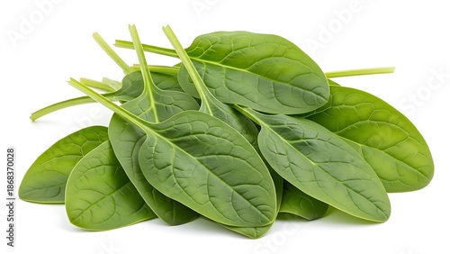 Fresh green spinach leaves on a white background for healthy eating and nutrition