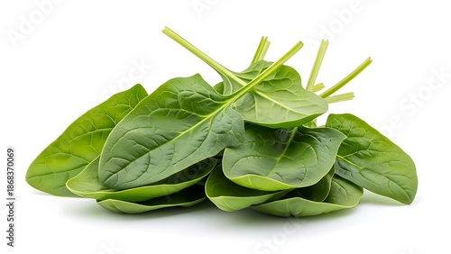 Fresh green spinach leaves on white background for healthy eating and nutrition