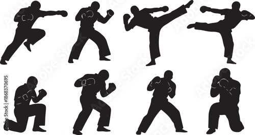 Silhouette of man practicing various martial arts poses