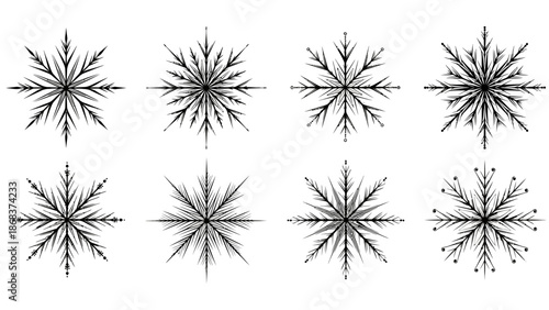 Set of eight black and white symmetrical snowflake designs with intricate patterns for winter
