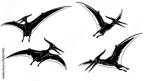 Four black silhouettes of flying Pterodactyls or Pteranodons in various dynamic poses, isolated on a white background, depicting ancient winged reptiles.