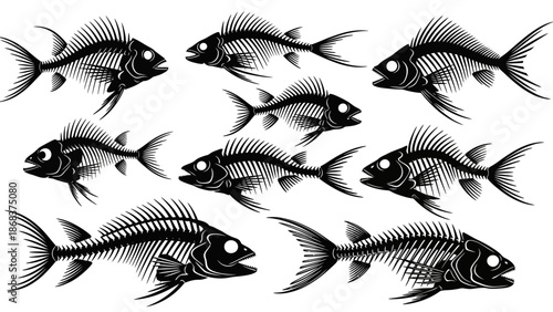 Collection of black and white fish skeletons in an artistic pattern suitable for design projects