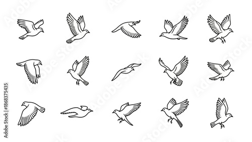 Collection of Various Bird Outlines in Different Flight Positions and Angles for Artistic or