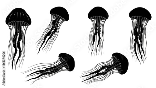 Set of five black silhouette illustrations of jellyfish with varying postures and tentacle