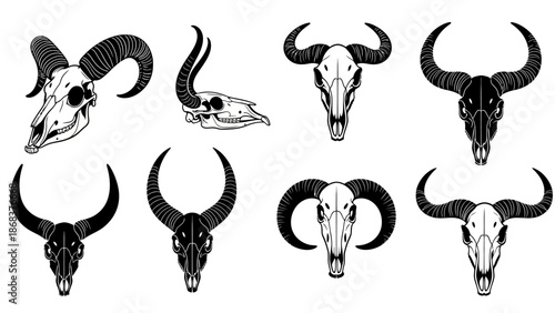 Stylized animal skulls with horns featuring diverse designs and artistic details for decorations