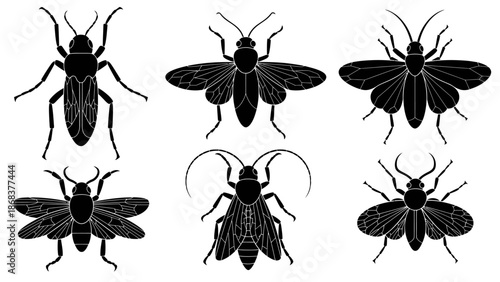 Collection of black and white insect silhouettes showcasing different species and wing structures