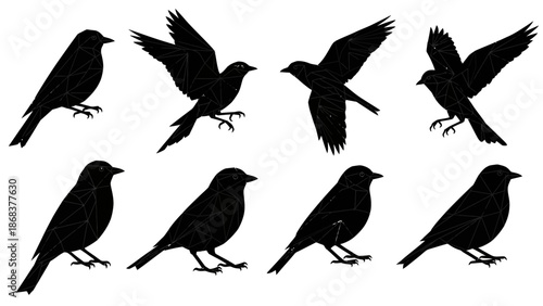 Set of artistic black silhouettes of flying and perched birds with geometric design elements