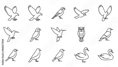 Collection of Simple Line Drawings of Various Bird Species in Different Poses and Styles for